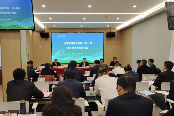 聚力攻坚降成本 深化改革增效益——ebpay钱包集团等三家公司召开降本增效专题研讨会